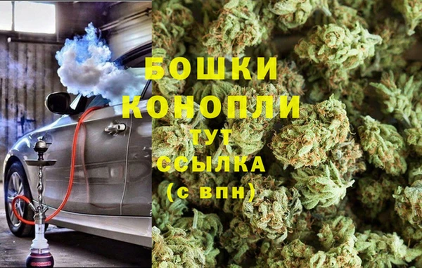 дживик Бородино
