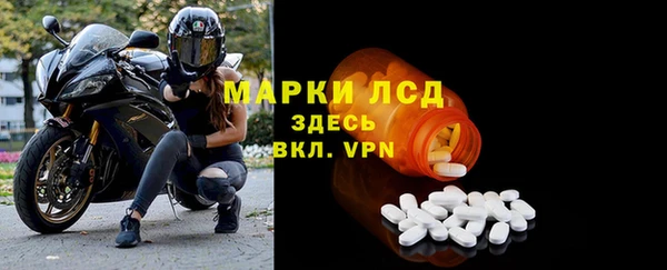 дживик Бородино