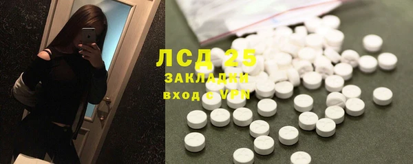 дживик Бородино