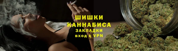 дживик Бородино