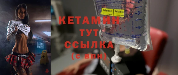 дживик Бородино
