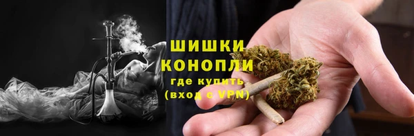 дживик Бородино