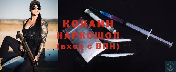 дживик Бородино