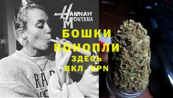 дживик Бородино