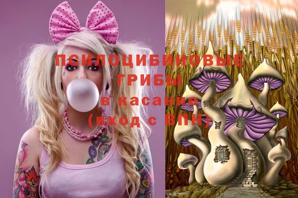 a pvp Бронницы