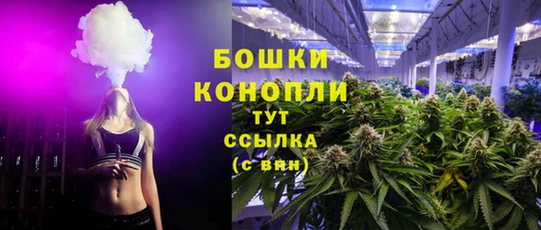 дживик Бородино