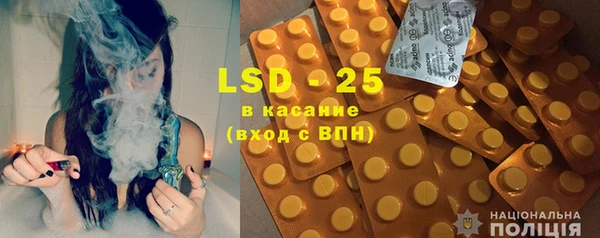 дживик Бородино