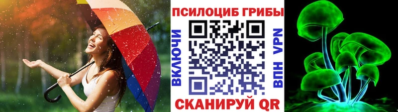 Псилоцибиновые грибы мухоморы  mega вход  Шумиха 